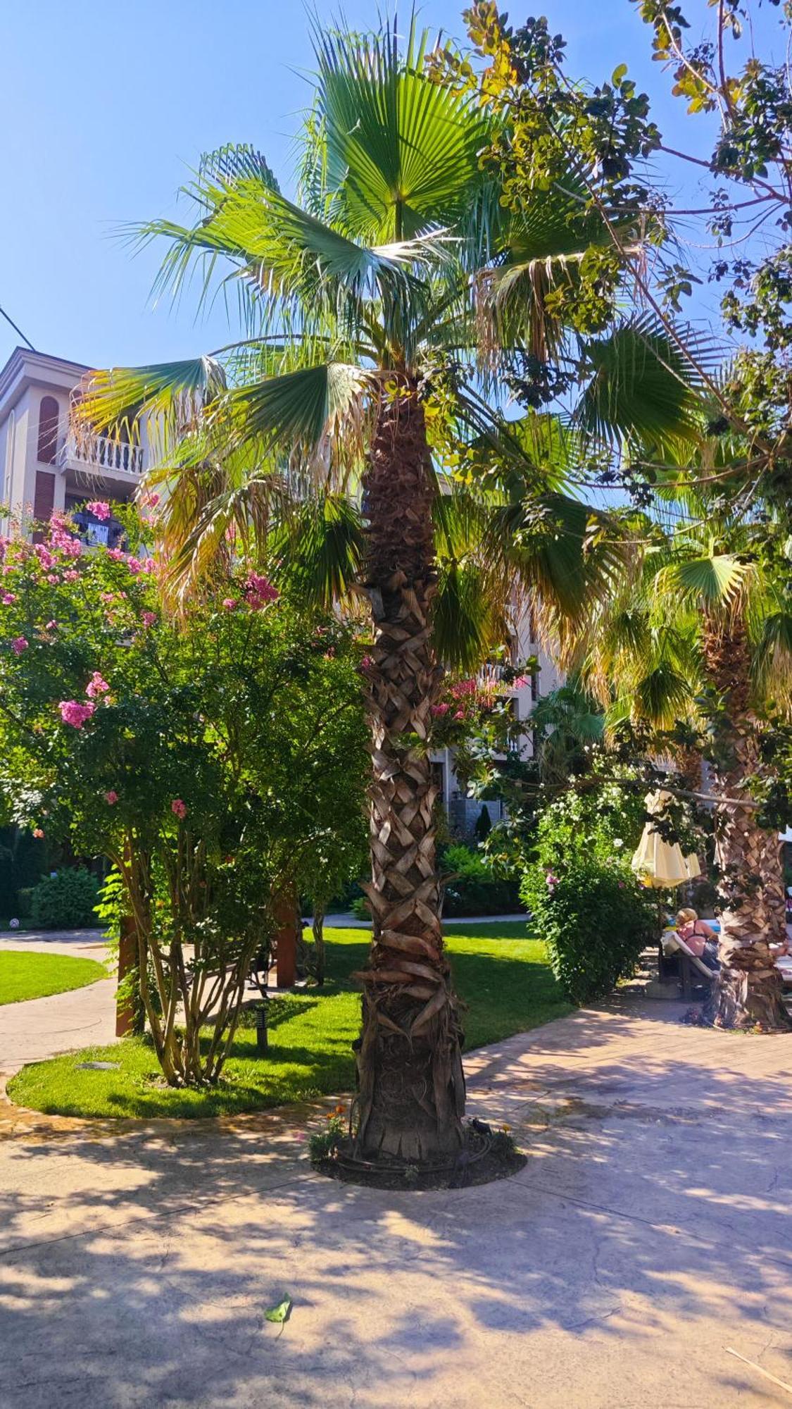 Attractive Family Apartment In Sunny Beach Cascadas Family Resort المظهر الخارجي الصورة